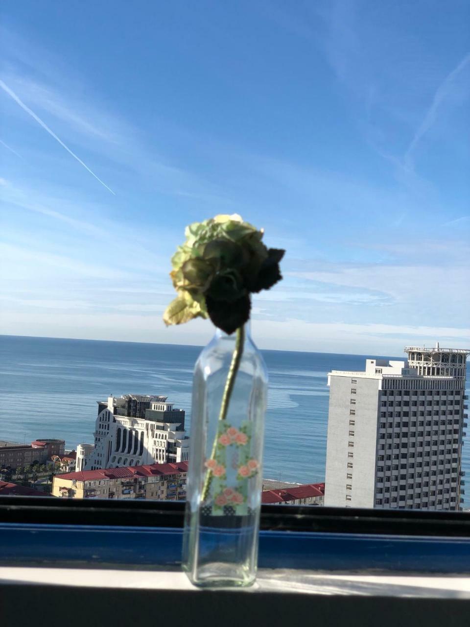 Cozy Bright Apartment With Amazing Sea View Batum Dış mekan fotoğraf